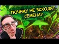 Почему не всходят семена овощей? Три ошибки при посеве семян овощей на рассаду. Выращивание рассады.