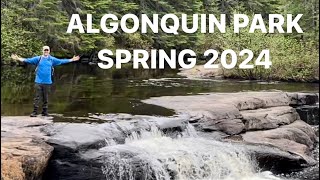 Algonquin Park 2024