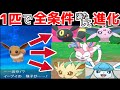 【検証】イーブイの進化条件が重複したら何に進化する？？【ポケモン剣盾】【ポケモンXY】【ポケモンSM】