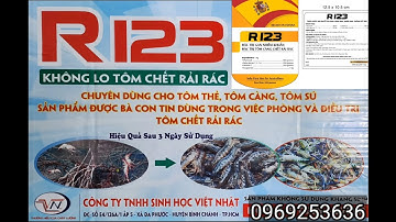 R 123 không lo tôm càng chết rải rác.