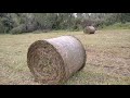 Сенаж из вико-овса с подпокровной травой