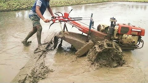 vst shakti tractor 130 di puddling || puddling in rice field || msk vlogs tv