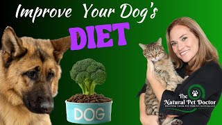 Top 3 Tips To Improve Your Dog's Diet | Healthy Pet Food