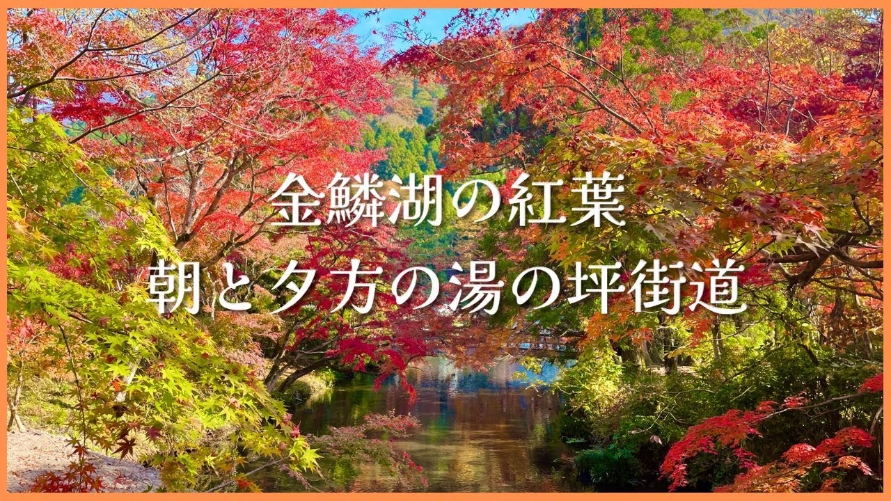 由布院の紅葉🍁朝の金鱗湖｜朝と夕方の湯の坪街道 11/11 2022［vlog］Autumn leaves in Yufuin / Kinrin-ko Lake in the morning