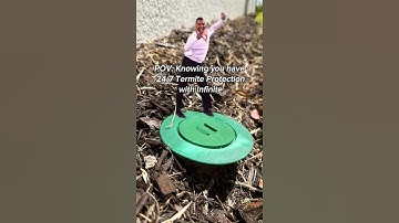 24/7 Termite Protection