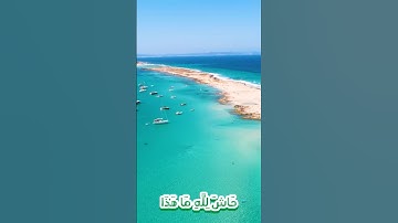 سورة يوسف وكانك تسمعها لأ.ول مر.ة🌷💟،،💮؛💐🧡🌷،🌺بصوت الشيخ حمزة مدبو.ح 🌹💞؛،🏵️🌼..💕..💓؛؛💖