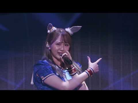 오구리캡 다이와스칼렛 하루우라라 UNLIMITED IMPACT