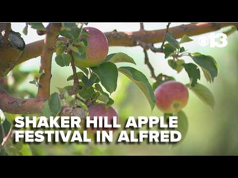 Video Fall fun returns with Shaker Hill Apple Festival