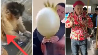#viral comedy videos #viral 😂worlds largest library of clean comedy#2021
