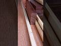 Cara praktis membuat sponeng kusen #woodworking #diy #tukangkayu #tips #tools