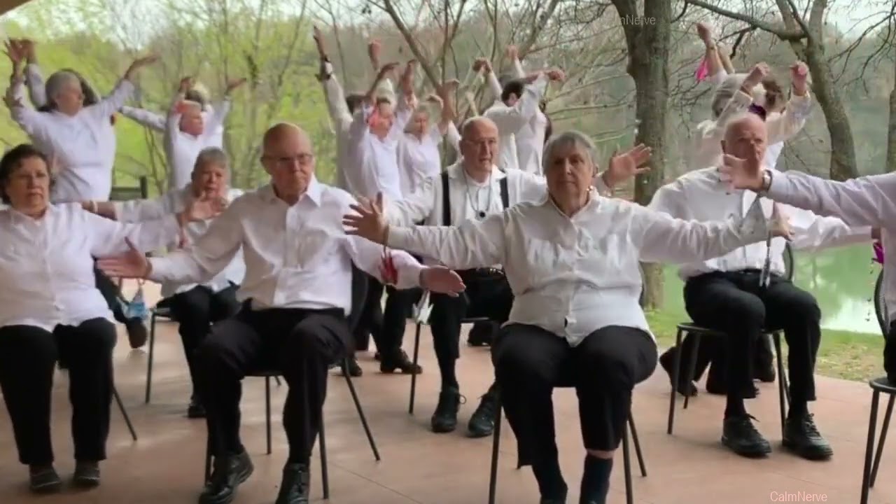 Power for Parkinson's PD Crane Dance Project Submission_R