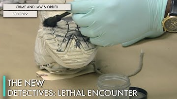 The New Detectives: Lethal Encounter