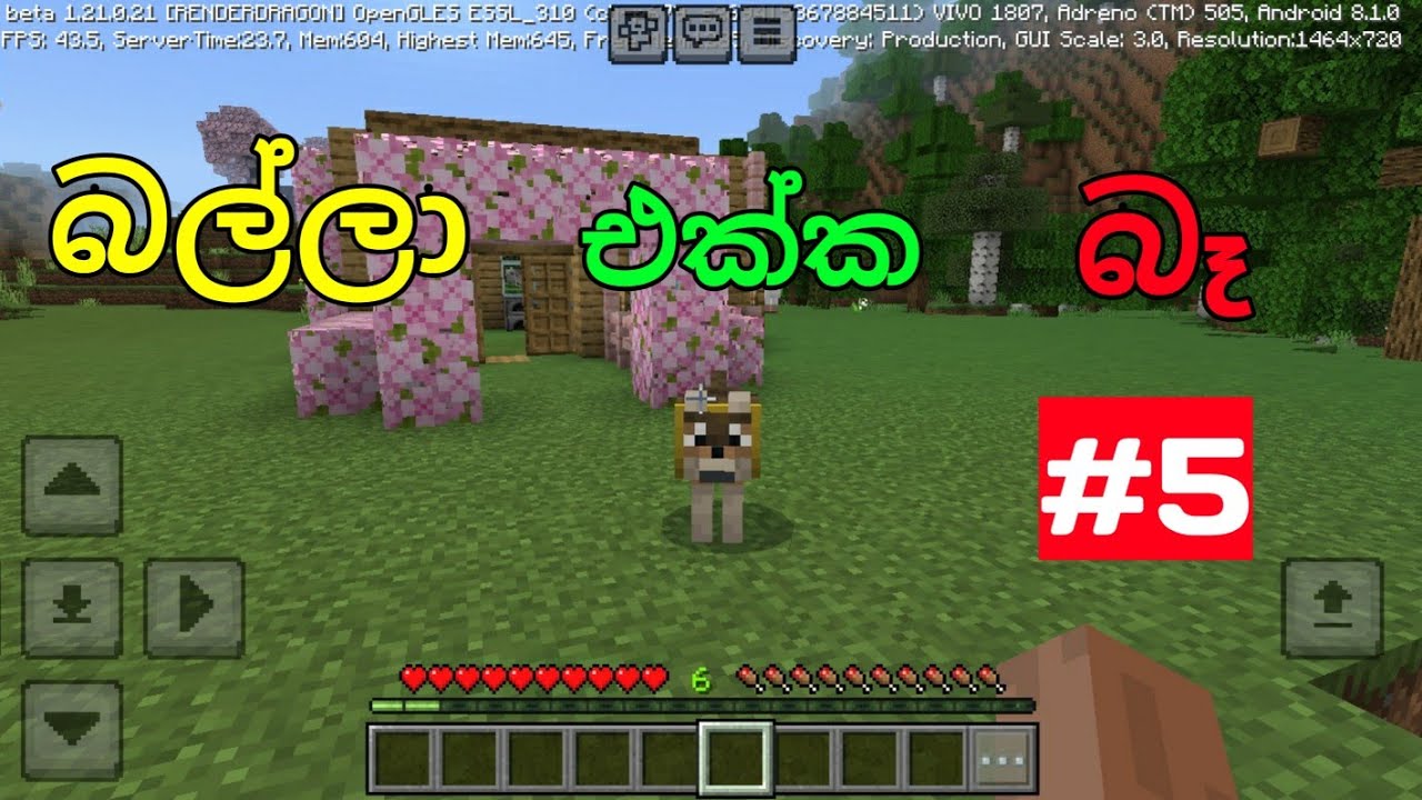  how to Minecraft dog tame in the video - YouTube Motiv 