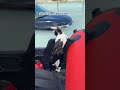 Cat rescued from flood in Dubai