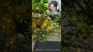 Its A Bird? Plane? No...trash