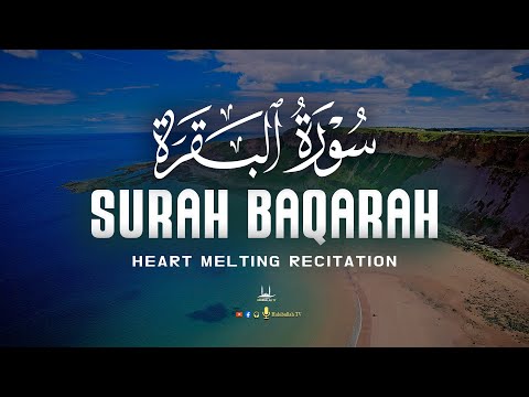 SURAH AL BAQARAH سورة البقره BEAUTIFUL CALMING RECITATION TO SOOTHE YOUR HEART Habibullah TV