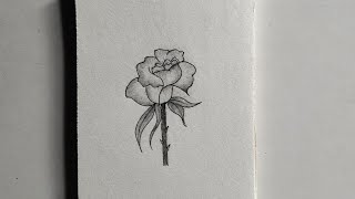 Sketsa Pensil Mawar Cantik | Menggambar Bunga dengan Mudah ✏️🌹