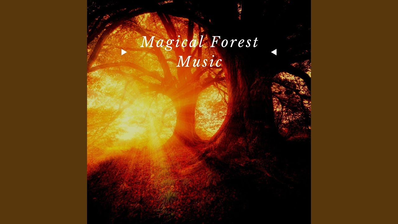 Refreshing Forest Sounds