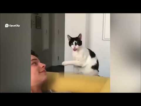 Viral Compilation 🤪  Funny Moments & Unexpected Quotes! 😂