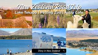 Lake Tekapo, Petting Zoo, Astro Cafe | South Island, New Zealand Road Trip (Part 5)