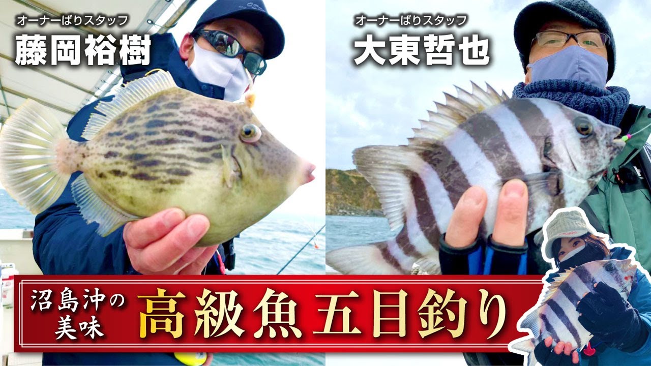 沼島沖の美味高級魚五目釣り