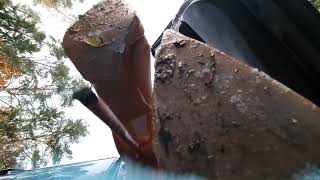 Under Camera Giantess Trampling You In Brown Stiletto Heels Preview