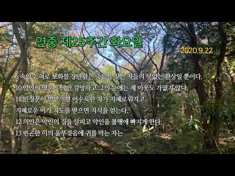 영상썸네일