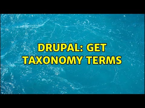 Drupal: Get taxonomy terms (9 Solutions!!)