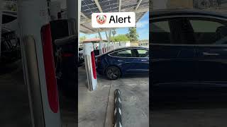 Clown Alert. Sell the Tesla lol #fyp #viral #tesla #elonmusk @TeslaOwnersSV
