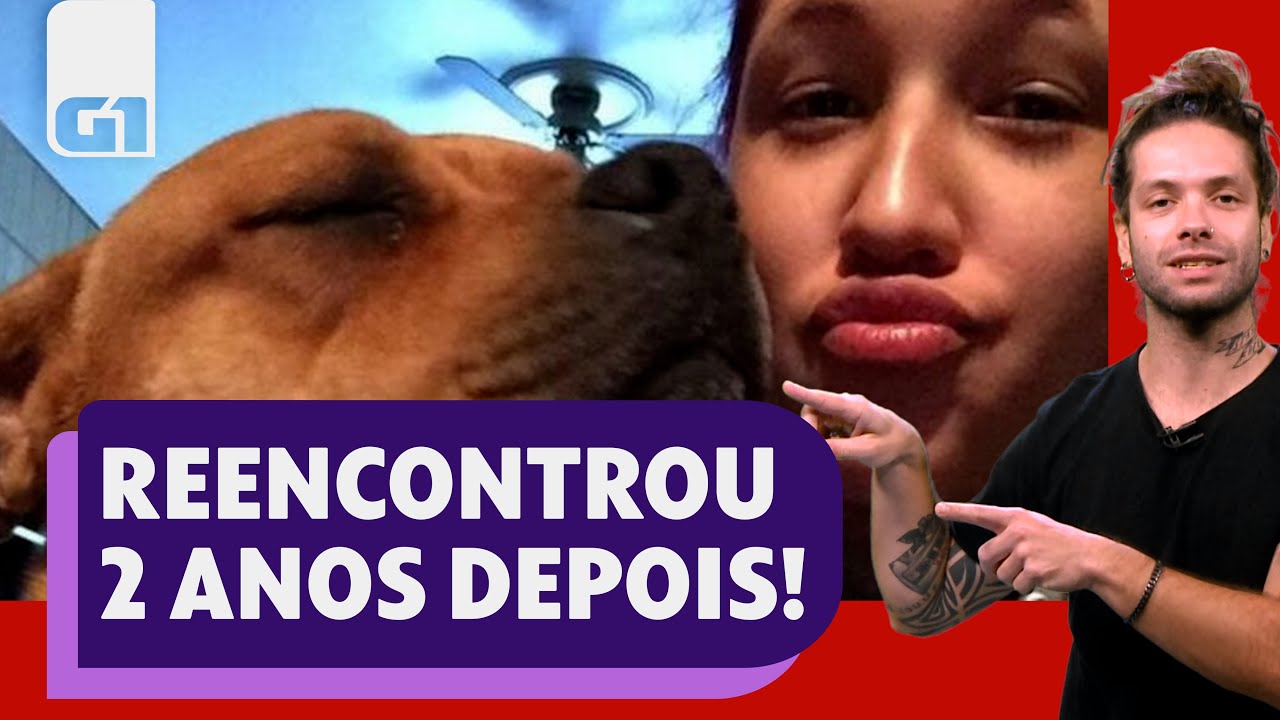 Coincidência faz dona achar cachorro perdido nos EUA l OLHA QUE LEGAL l G1