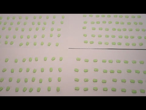 თბილისში, აჭარასა და იმერეთში ნარკოდანაშაულისთვის 8 პირი დააკავეს - მათგან 5 პირი ნარკორეალიზატორია