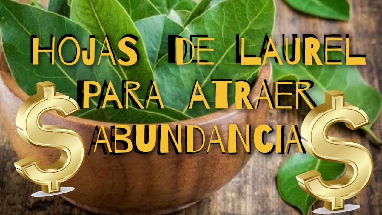 💯💵HECHIZOS para atraer DINERO💲 , RITUAL para el DINERO 💲como atraigo ...