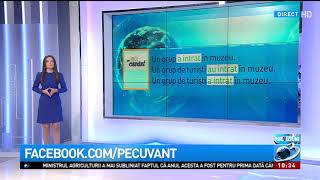 Cum Facem Acordul Dintre Subiect Și Predicat Cu Substantivele Colective