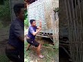 solo kill🤣 #lucu #fypシ #shortvideo