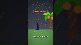 What Happens Inside the Eye of a Hurricane?