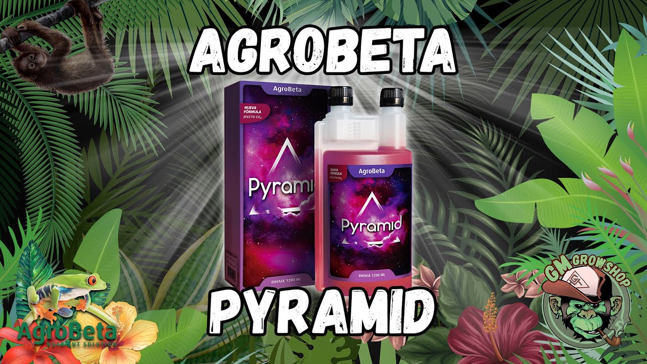 PYRAMID - AGROBETA