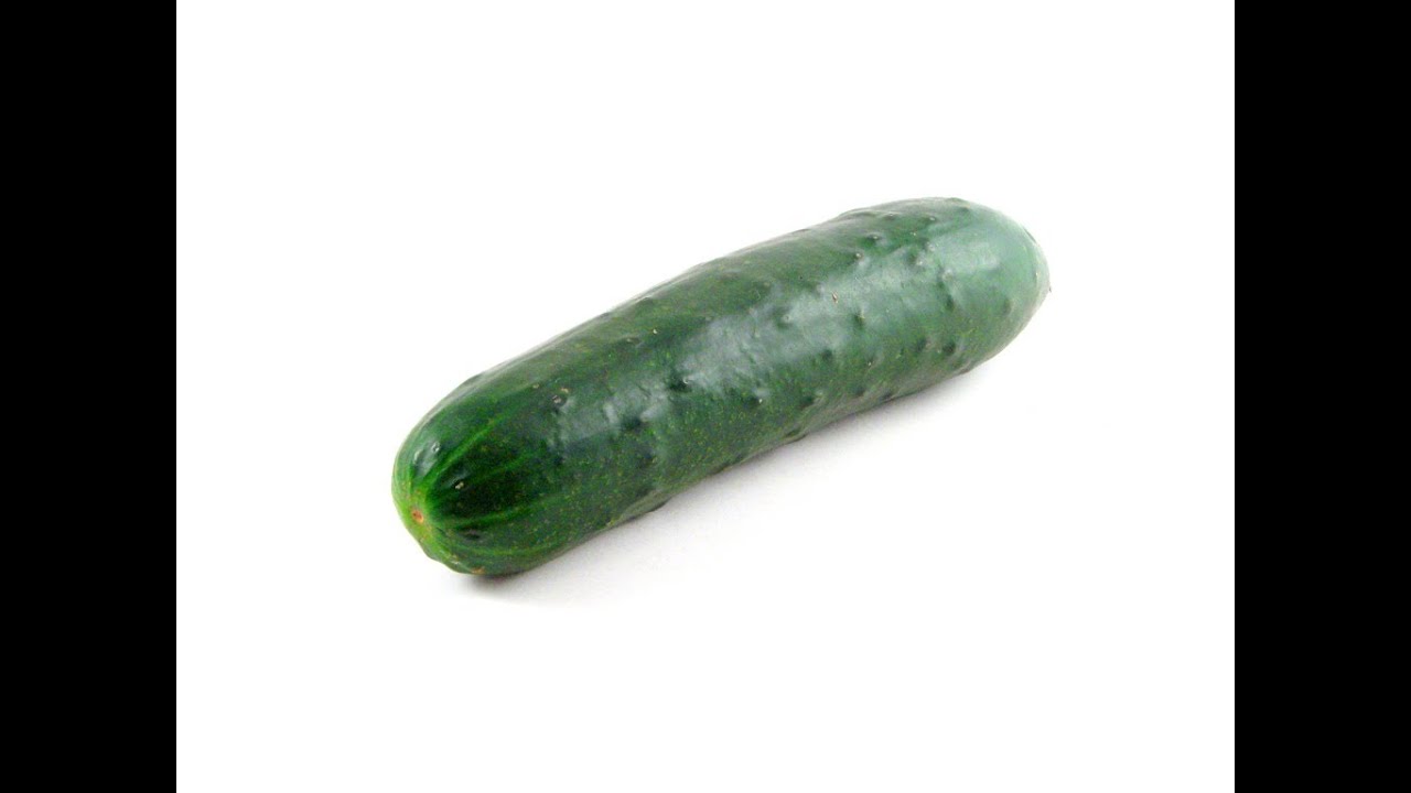 How to plant Gherkins * preparation * YouTube