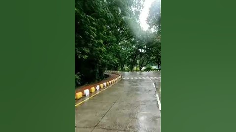 # Dr. Babasaheb Ambedkar marathvada University Aurangabad University campus.❤️# Nature look ❤️