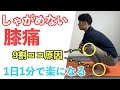 しゃがめない膝はこう治す！１分でひざ痛治してしゃがめるストレッチ