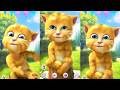 Talking Ginger 2 Funny Compilation flv #talkingginger2