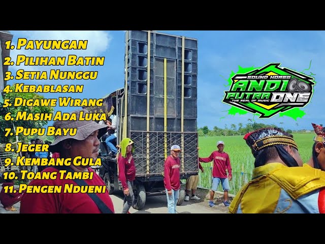 Lagu Terbaru 2024!! ANDI PUTRA 1 Full Album Ngarak | Singa Depok class=