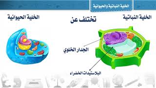 الخلايا النباتية والخلايا الحيوانية