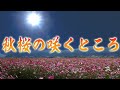 【栃木県益子町】秋桜フェスへの道のり~後編【幻想的な世界への入り口】