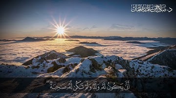 وَجَعَلُوا لِلَّهِ شُرَكَاءَ الْجِنَّ وَخَلَقَهُمْ ۖ | سورة الأنعام | آية 100