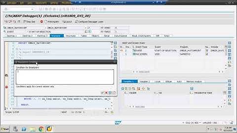 SAP ABAP Debugging || Must Watch Dynamic Break-point || Conditional break-point || watch Point etc..