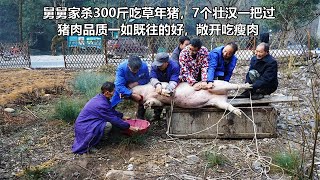 舅舅家杀300斤吃草年猪 7个壮汉一把过 猪肉品质一流看了流口水