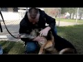 Dirljiv susret vojnika i psa nakon 6 mjeseci razdvojenosti