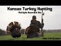 Kansas Turkey Hunting - (Multiple Bearded Rio)