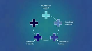 Med’s clinical and translational (CAT) scale