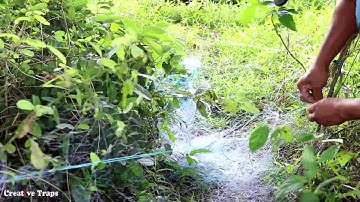 Creative Man Makes Python Snake Trap Using Nets & Branches